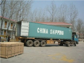 廣州至意大利國際貨運(yùn)代理 專業(yè)散貨門對(duì)門服務(wù)與物流解決方案